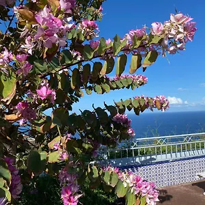 Apartamento Sofia, Santa Úrsula